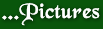 pictures